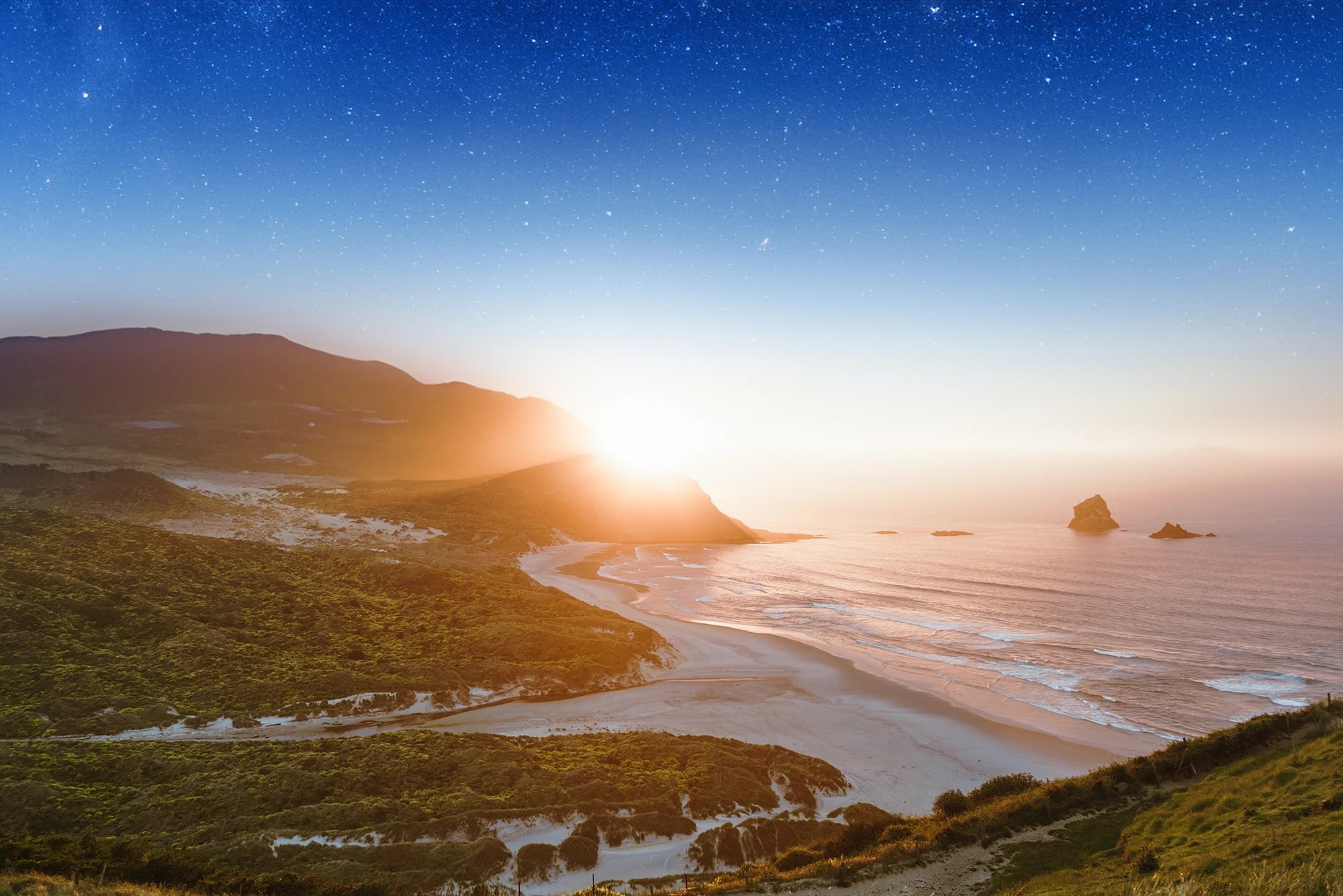 Kiwi Internet & IT — Internet Services in Auckland