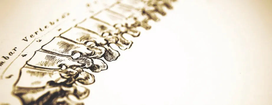 Christchurch Chiropractic — Chiropractors in Christchurch