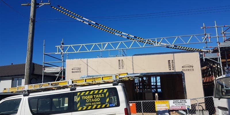 Tiger Tails Otago — Professional Services in Dunedin