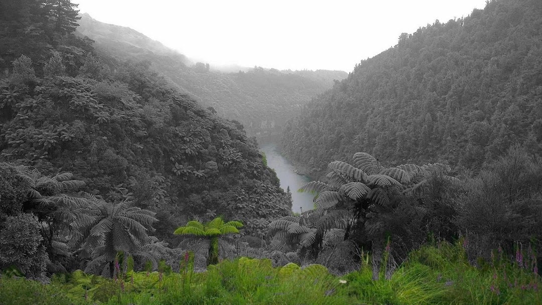 Tizard Design - Wanganui Web Design and Hosting — Website Designers in Dunedin
