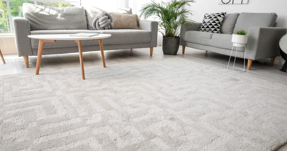 Waikato Carpet Cleaning — Cleaning Services in Cambridge