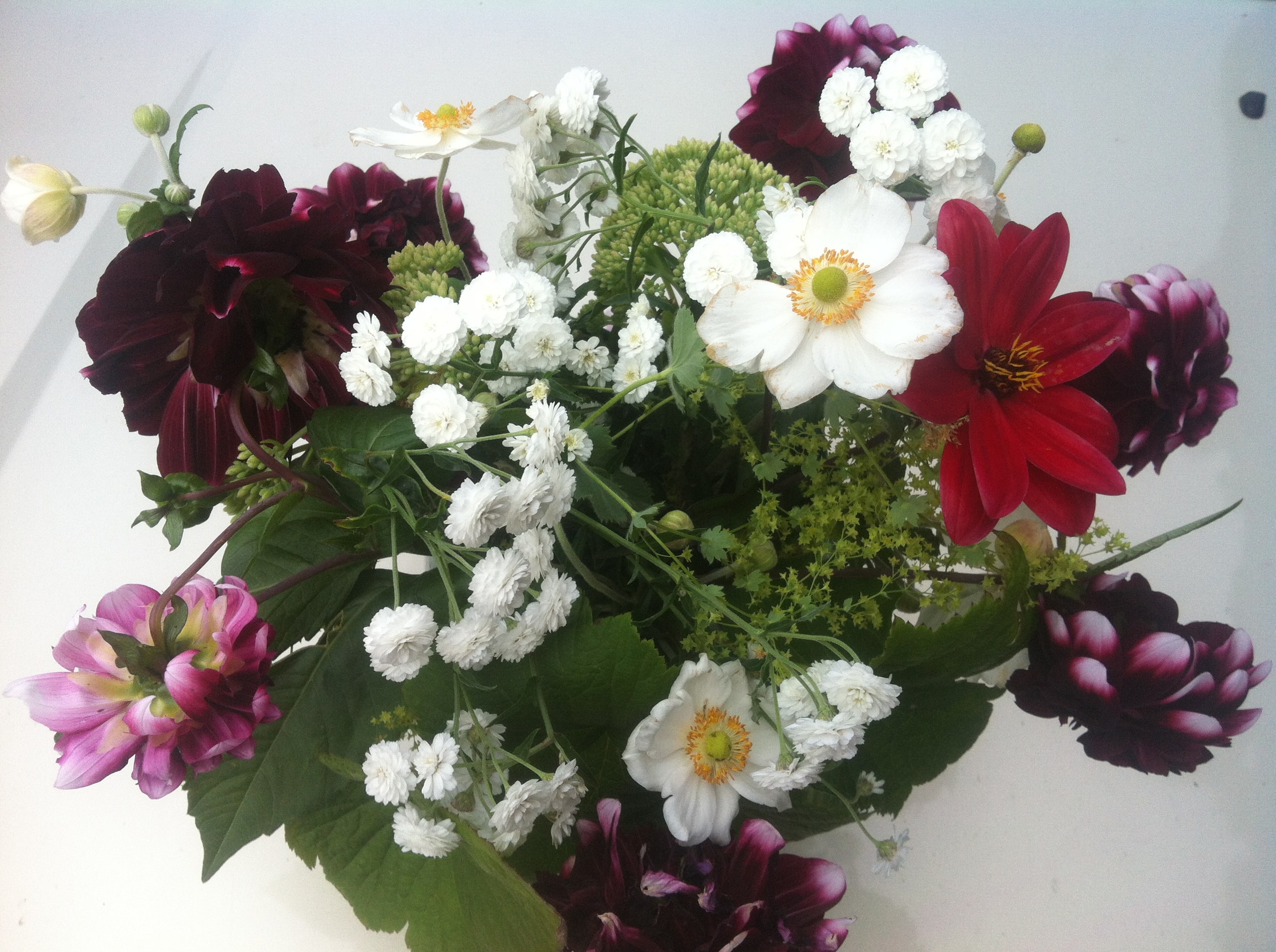Heirloom Bouquets — Florists in Dunedin