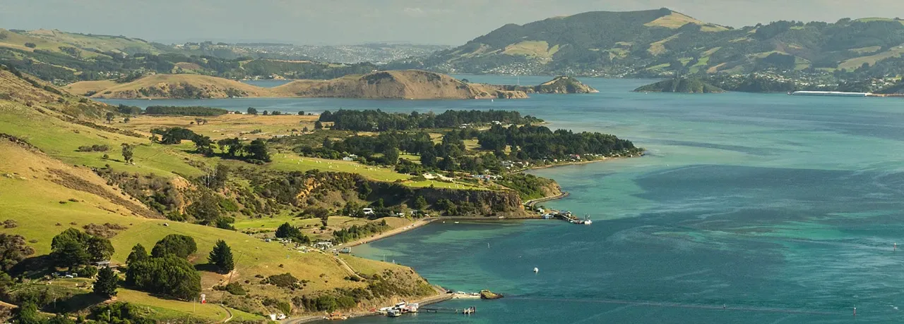 Saxton Chartered Accountants — Accountants in Dunedin