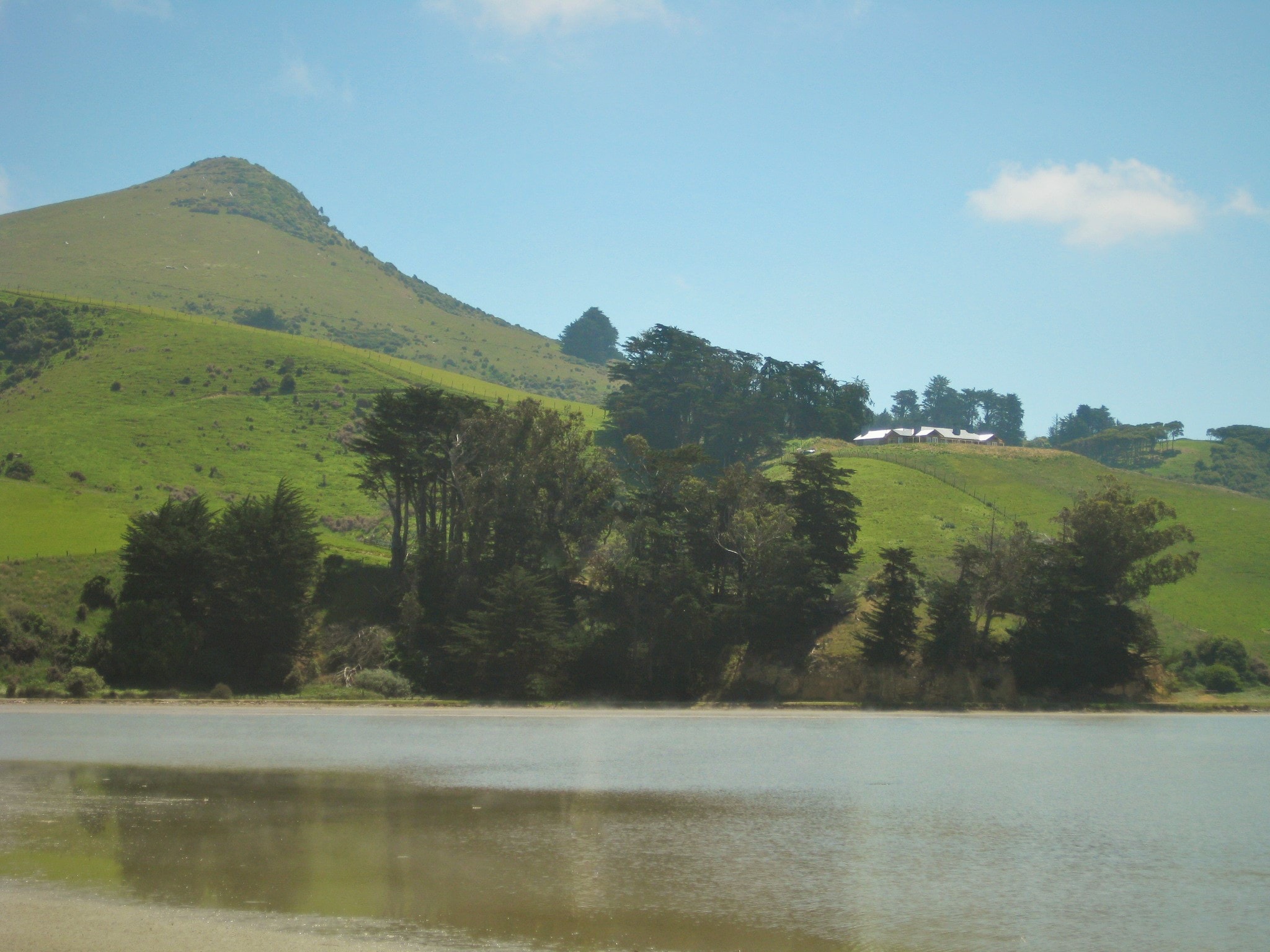 Hooper's Lodge — Accommodation in Dunedin