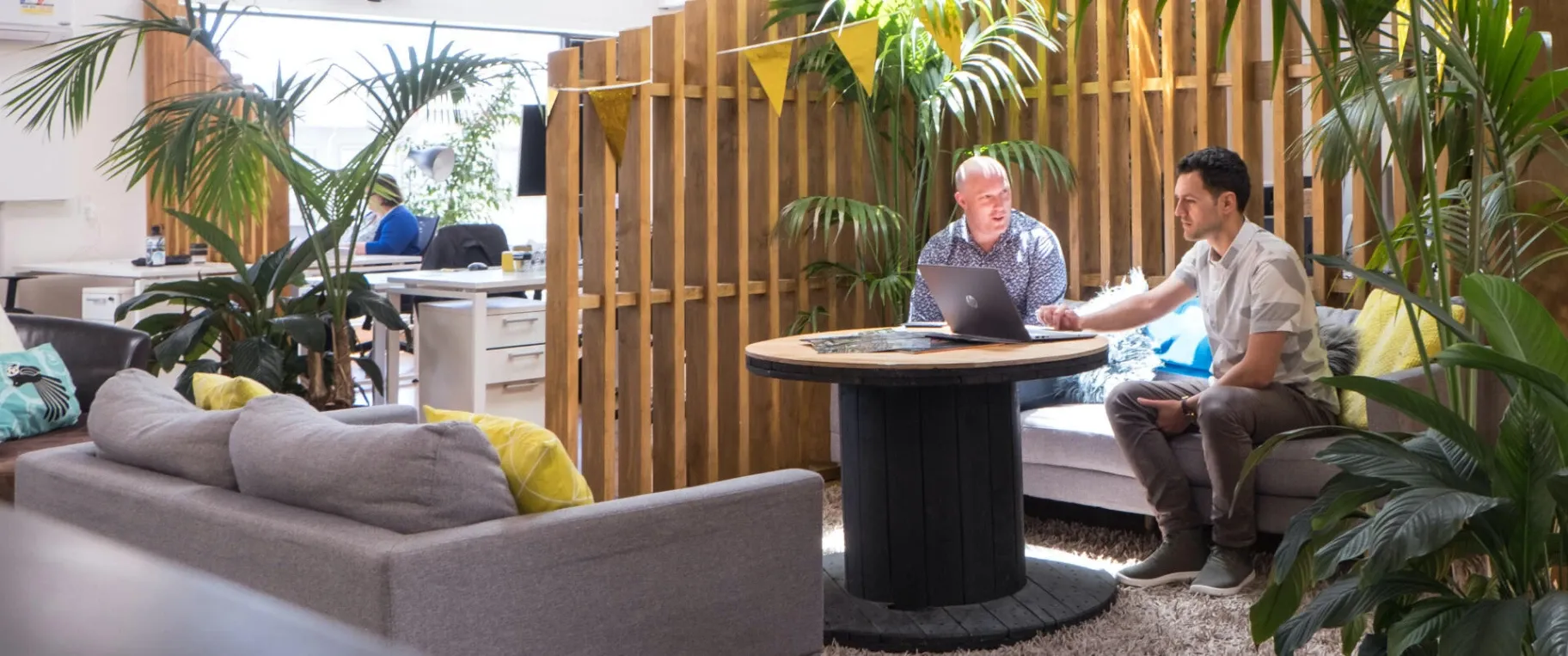 Dimple — Digital Marketing Agencies in Rotorua