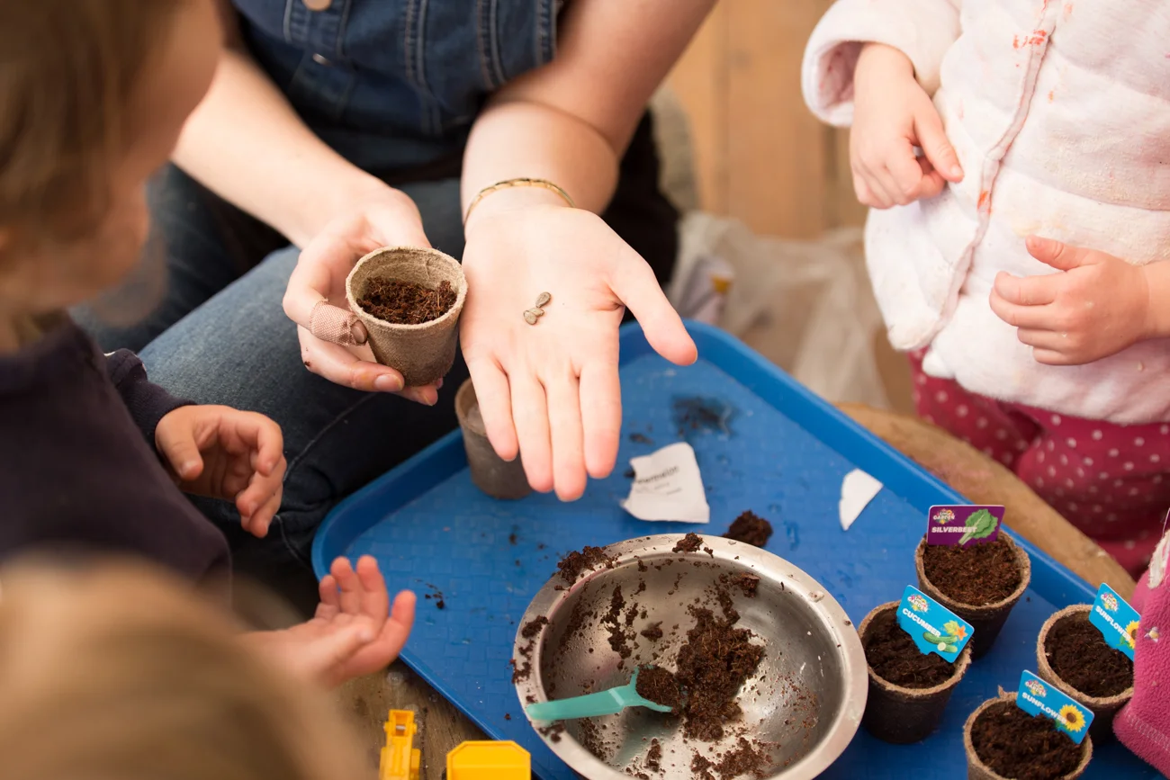 Country Bears Early Childhood — Childcare Centres in Kumeū
