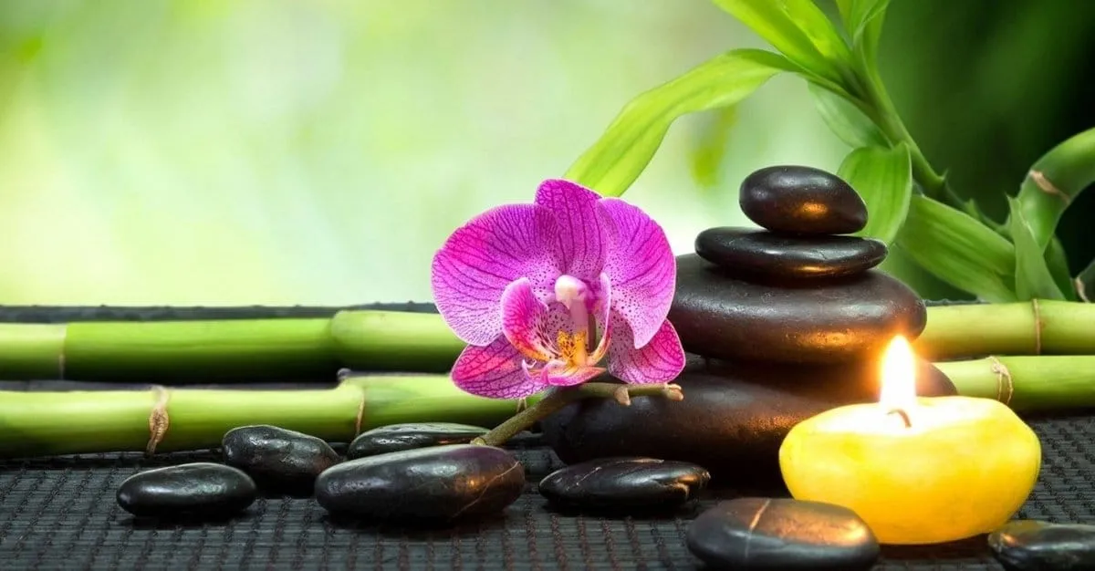 Bali Jasmine Day Spa — Spas in Wellington