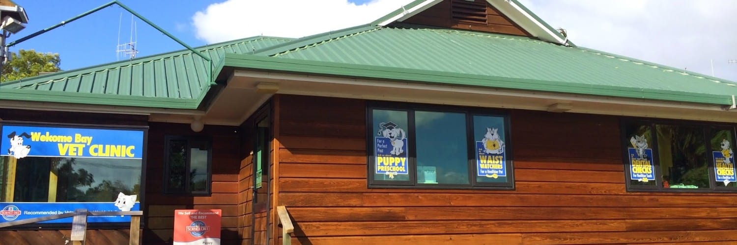 Welcome Bay Vet Clinic — Vets in Welcome Bay