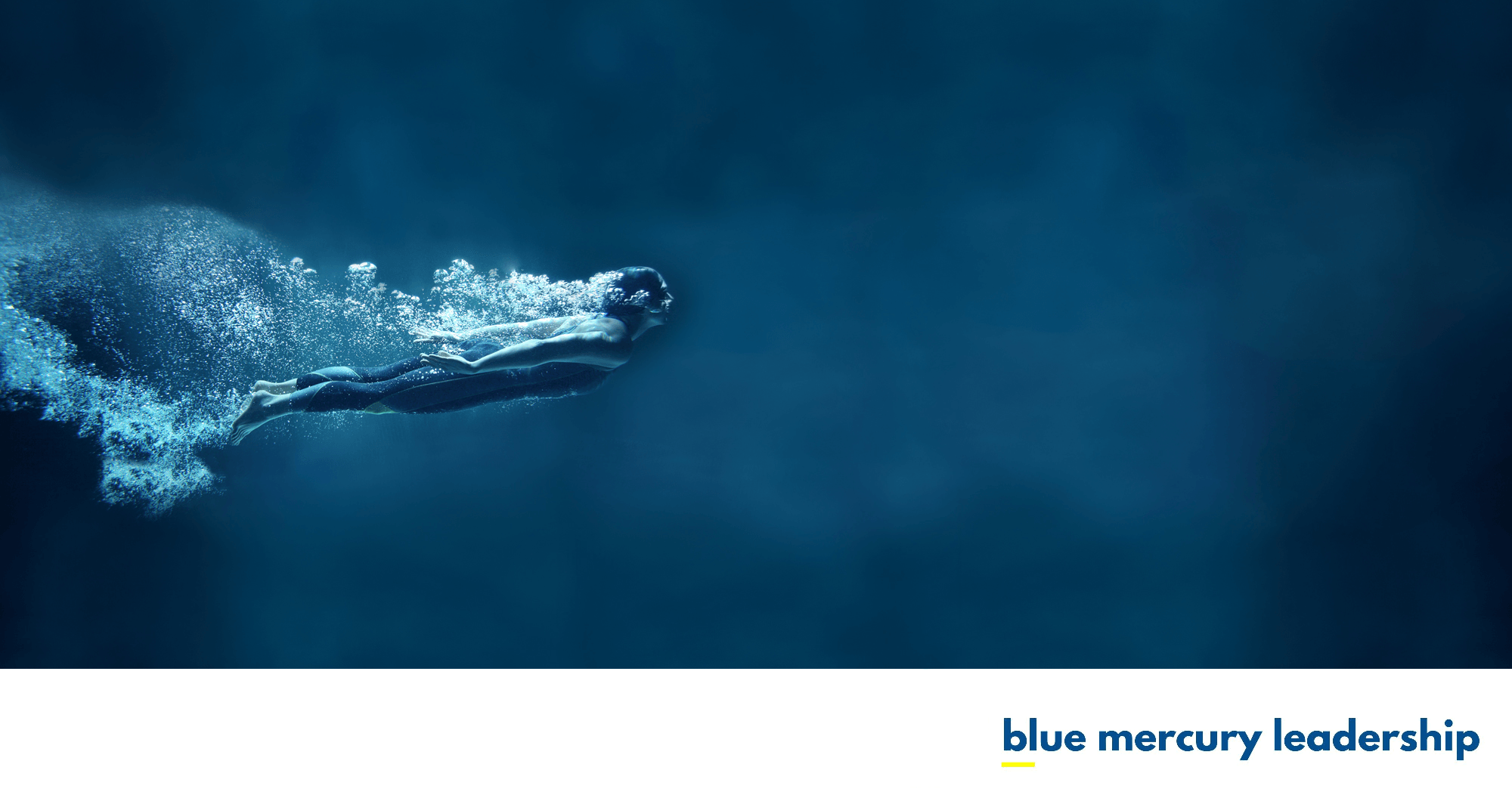 Blue Mercury Leadership — Education & Training in Otago