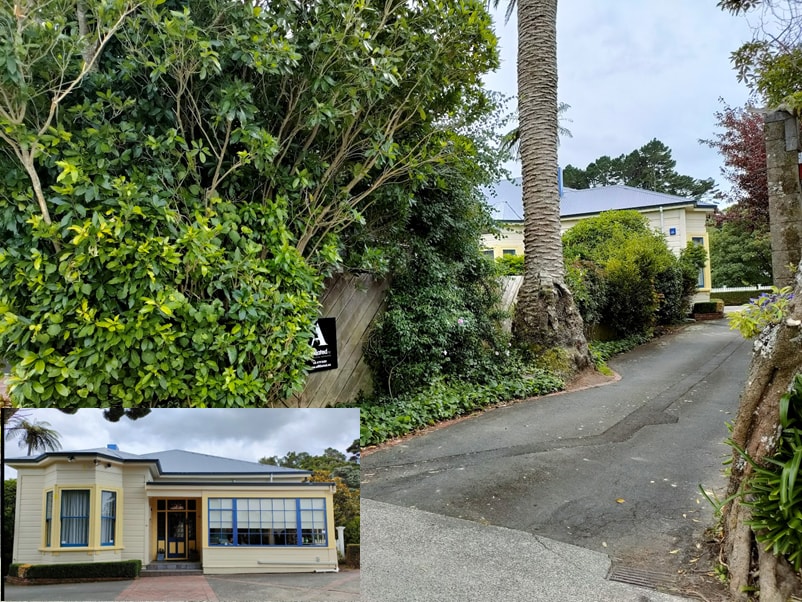 Policywise — Insurance Services in Mount Maunganui