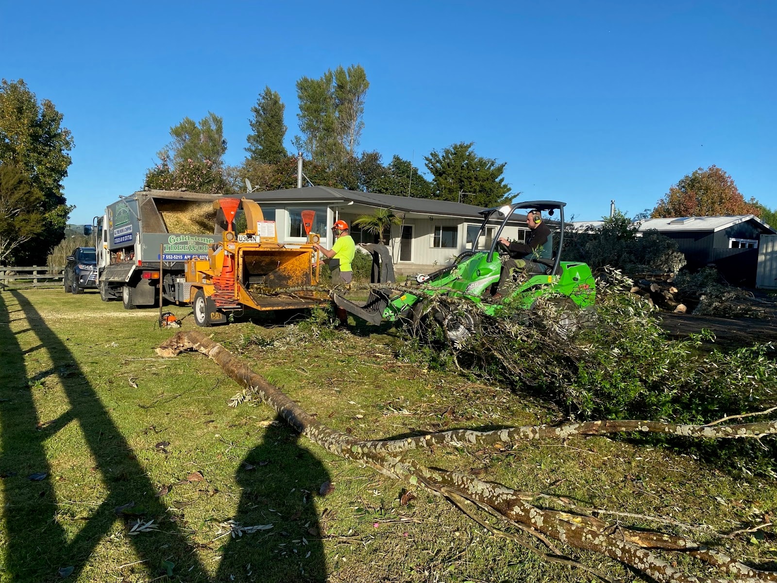 Goldstone Treeworx — Professional Services in Whakamārama