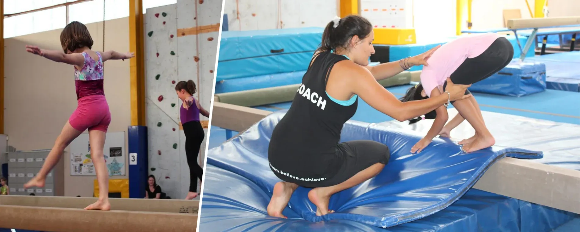 Waitakere Gymnastics — Gyms in New Lynn