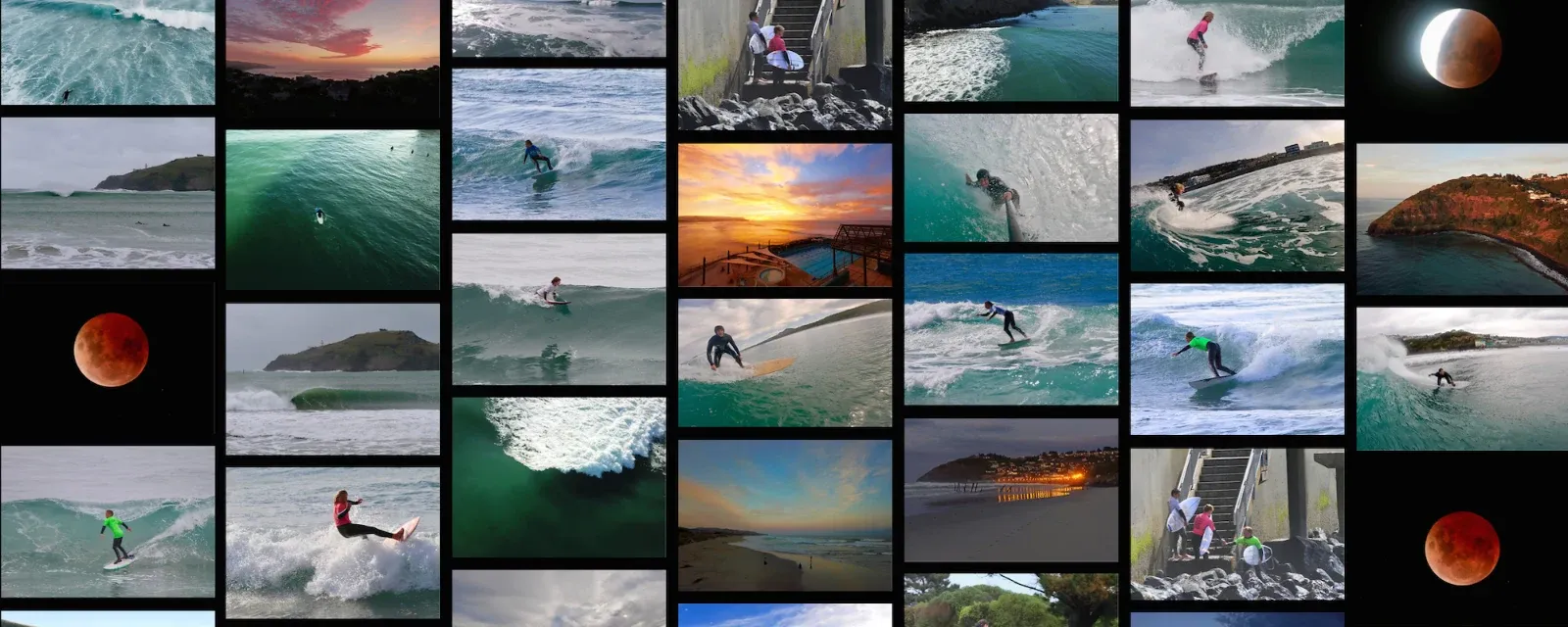Photos by StevO — Photographers in Dunedin