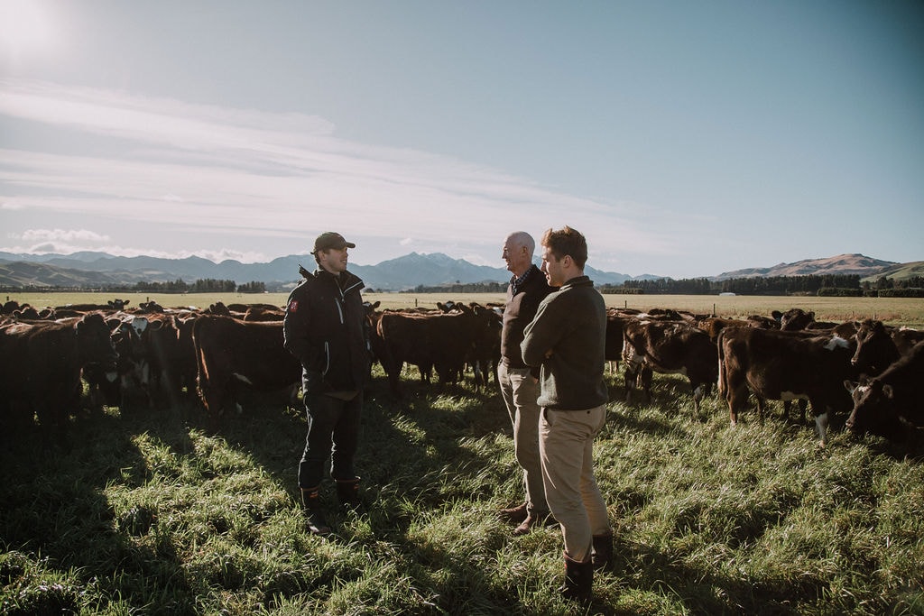 Rural Consulting Limited — Business Consultants in Christchurch