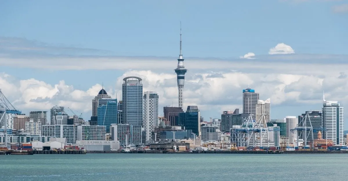 City Cleaning Services — Cleaning Services in Auckland