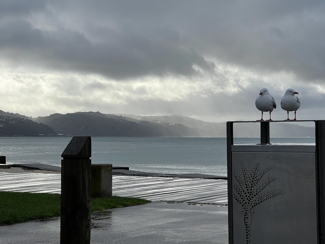Gelissimo @ Freyberg — Café in Wānaka