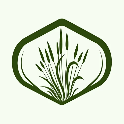 Hawke Lawn and Landscaping