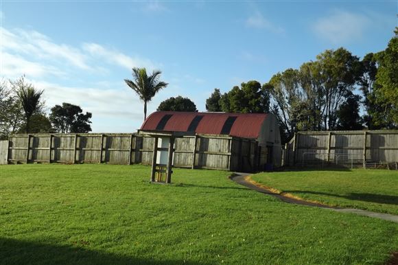 Daisy Downs For Dogs — Pet Care Services in Bay of Islands