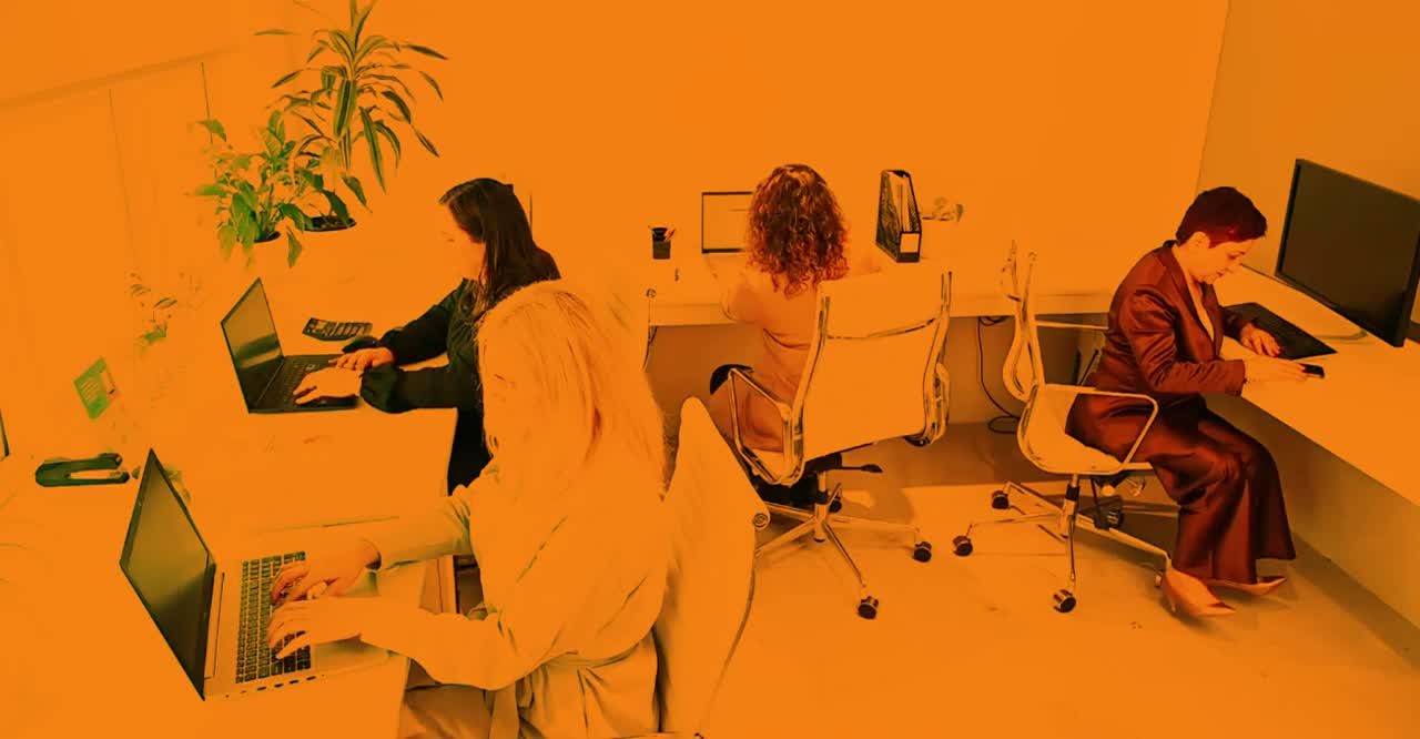 The Back Office Company — Accountants in Auckland