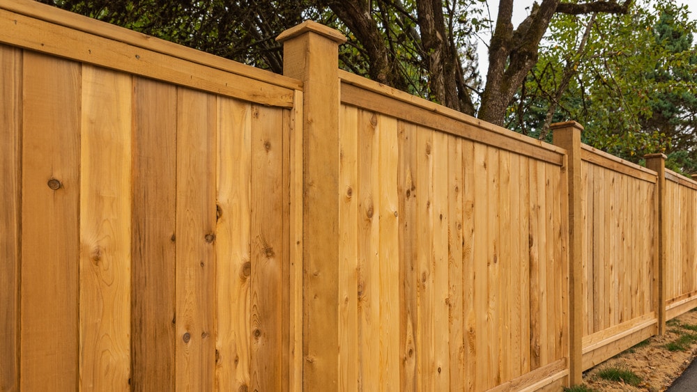 Real Fencing Auckland — Builders in Auckland