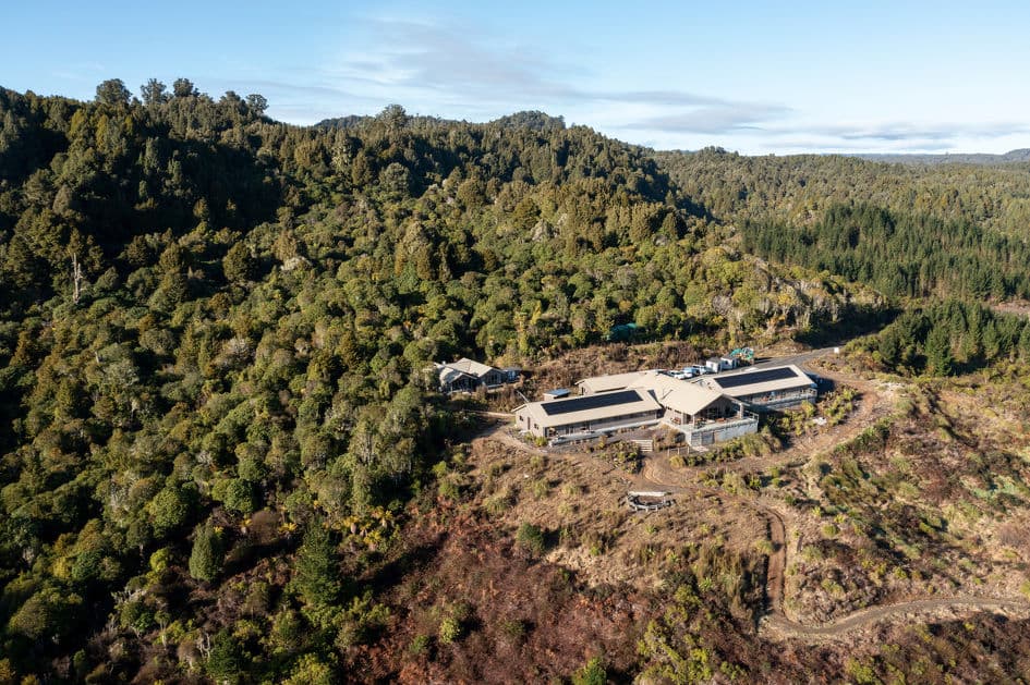 Timber Trail Lodge — Accommodation in Pureora Forest