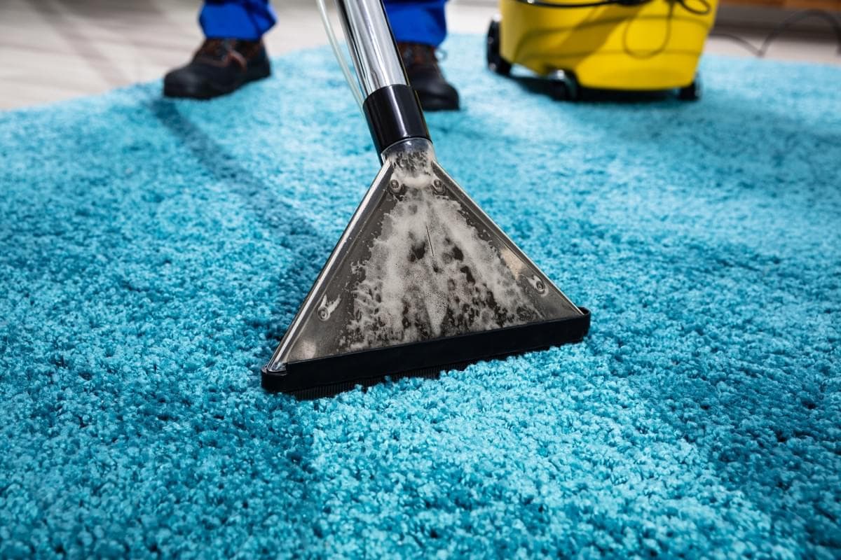 Ultra Clean Carpet Cleaning — Cleaning Services in Te Awamutu