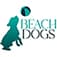 Beach Dogs Grooming