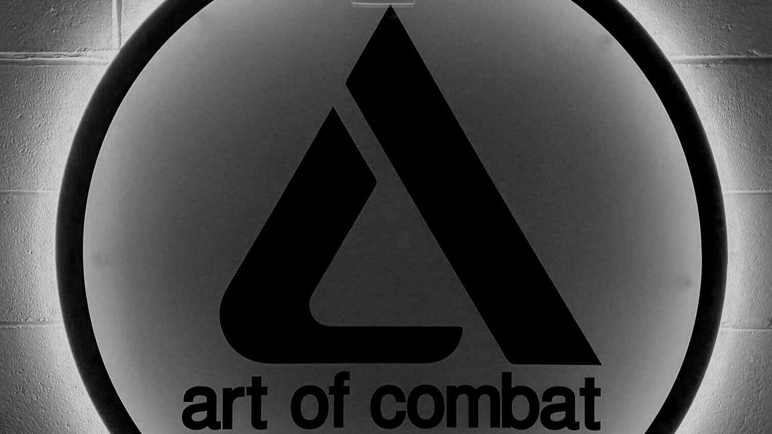 Art of Combat — Gyms in Palmerston North
