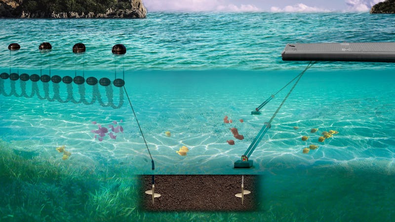 Marine Flex Ltd — Engineering Services in Picton