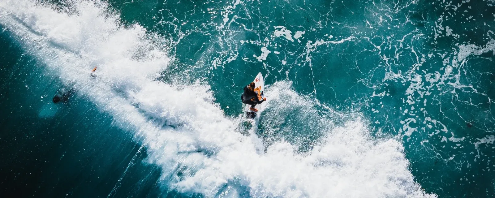 Michael Zane Photographer — Photographers in Dunedin