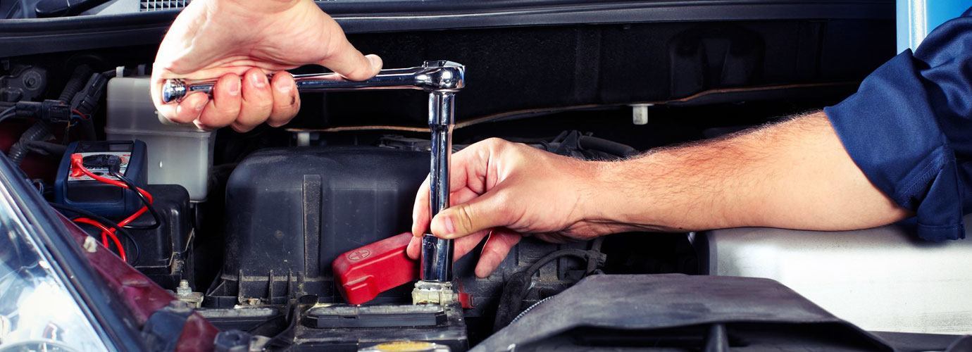 DM Auto Services — Automotive Services in Tauranga