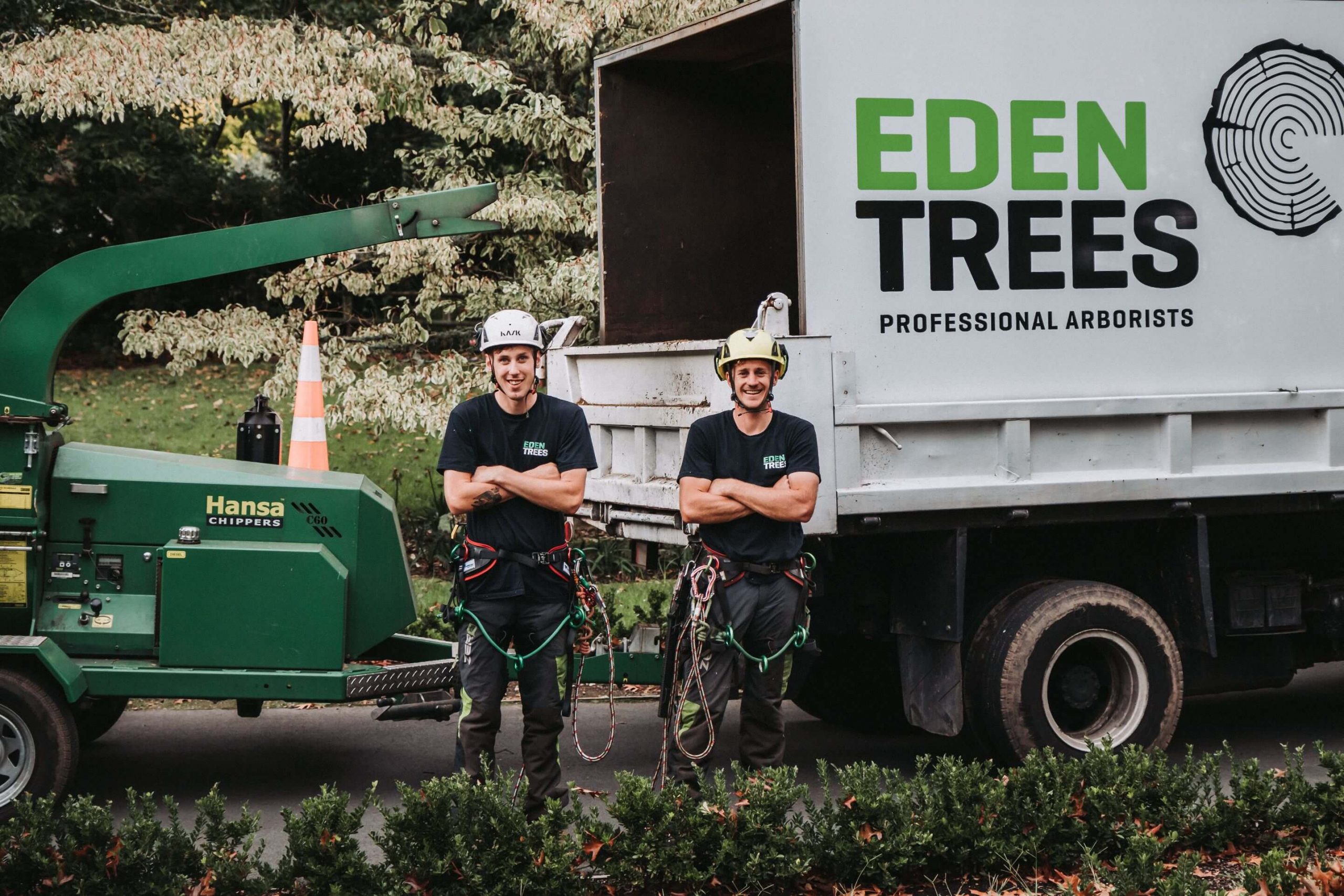Eden Trees — Arborists in Tauranga