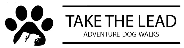 Take The Lead Ltd