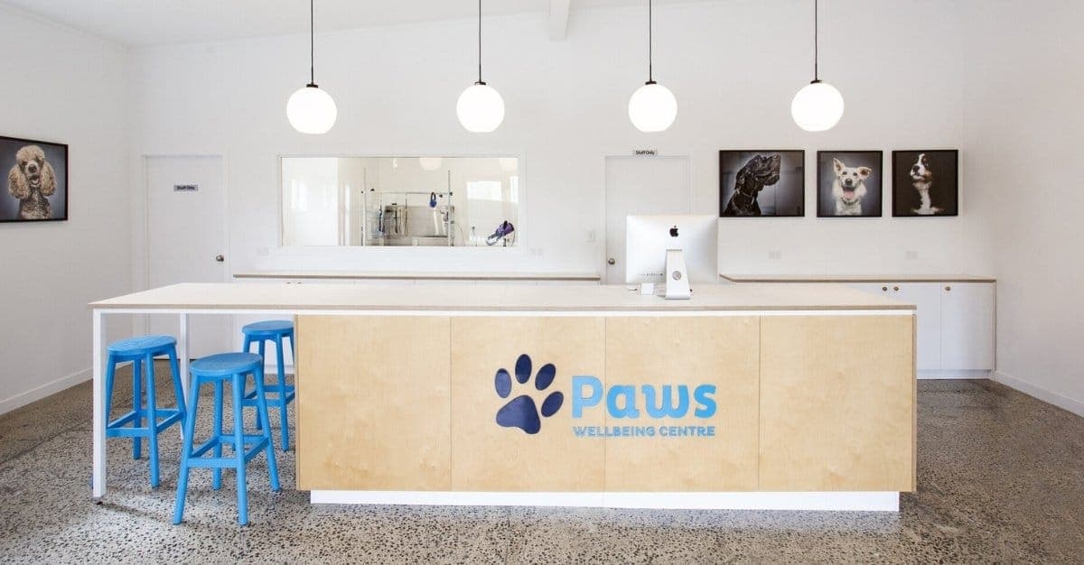 Paws Pet Care