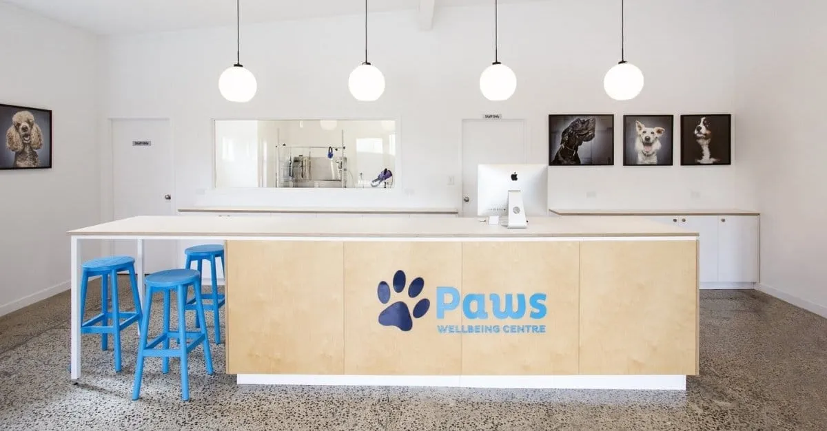 Paws Pet Care — Dog Groomers in Hamilton