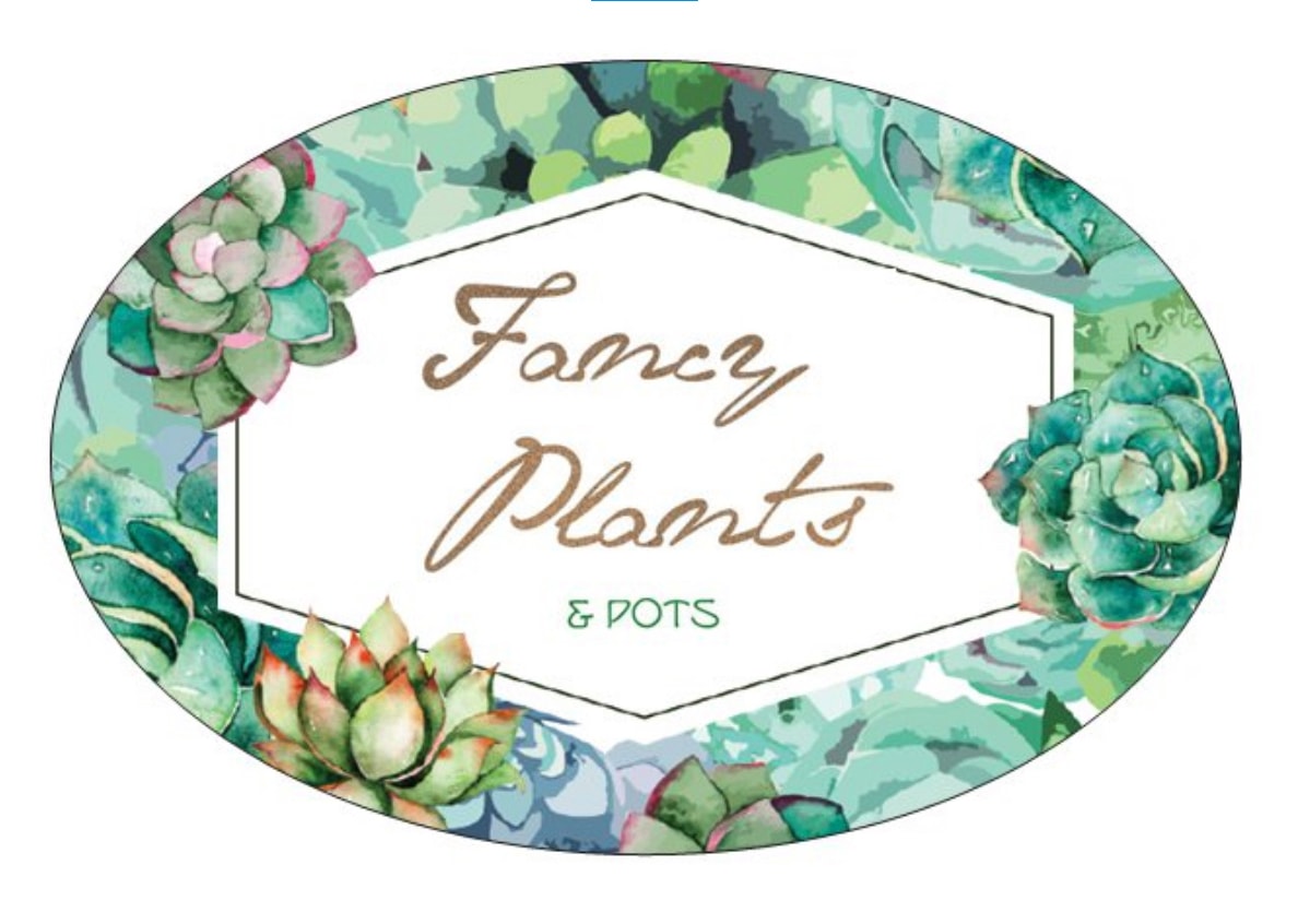 Fancy Plants NZ — Gift Shops in Dunedin
