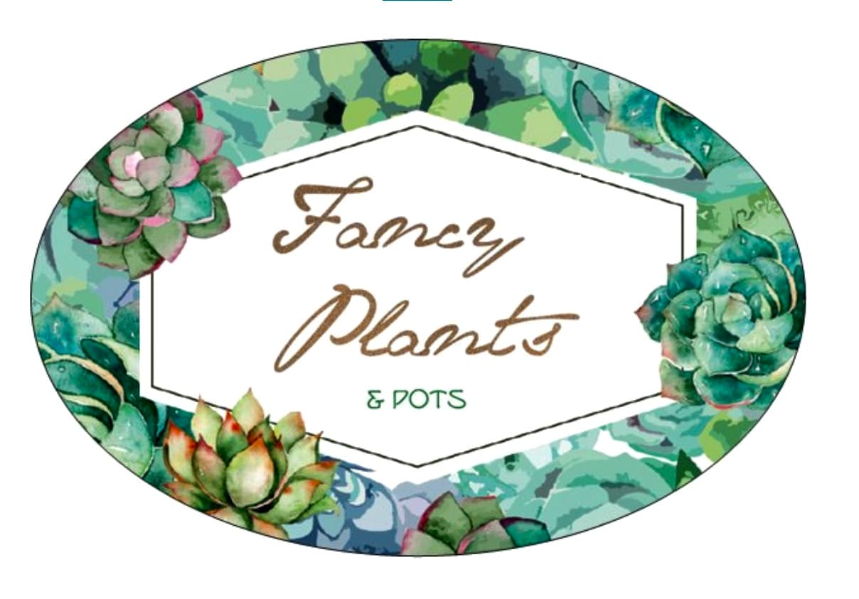 Fancy Plants NZ