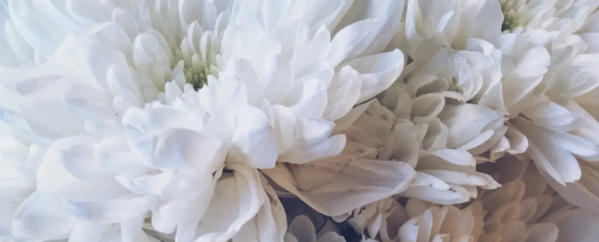 Indulge Beauty Therapy — Beauty Salons in Invercargill