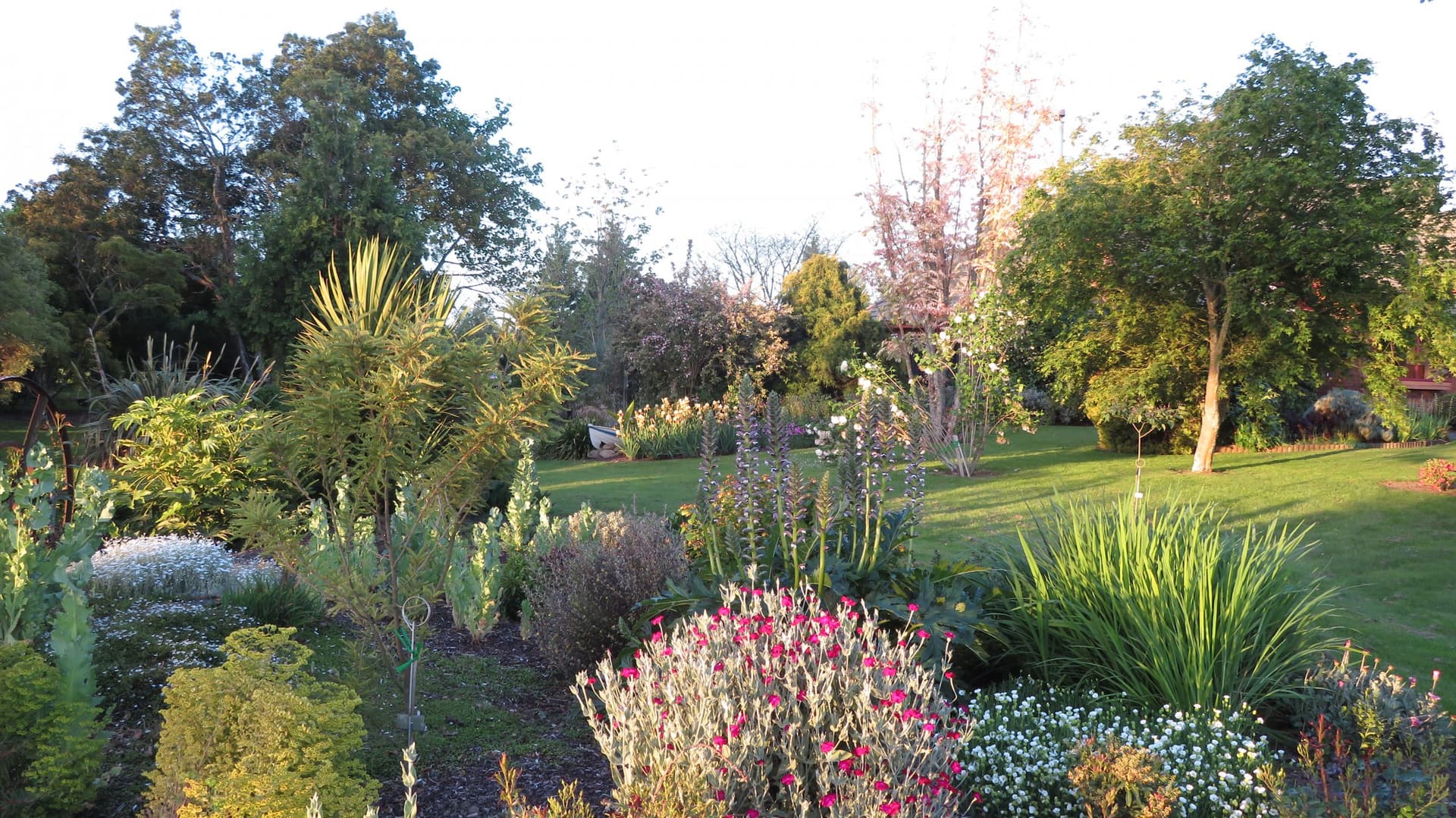 Walnut Lodge Bed and Breakfast — Accommodation in Matamata