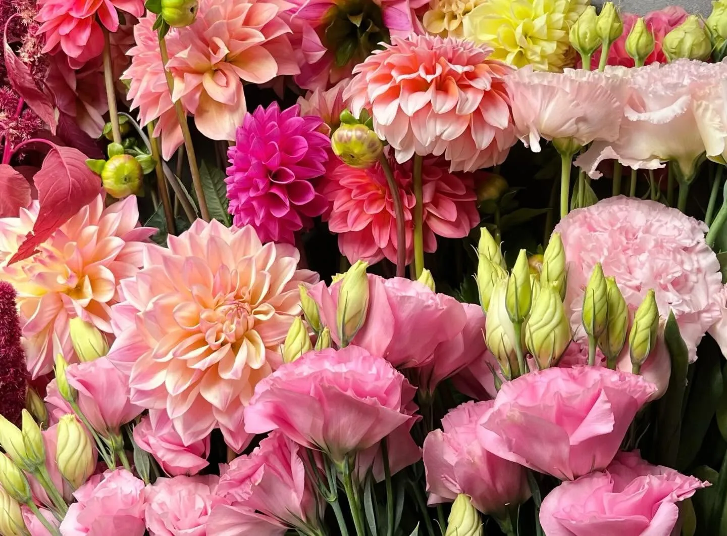 Flowers on Cashmere — Florists in Christchurch