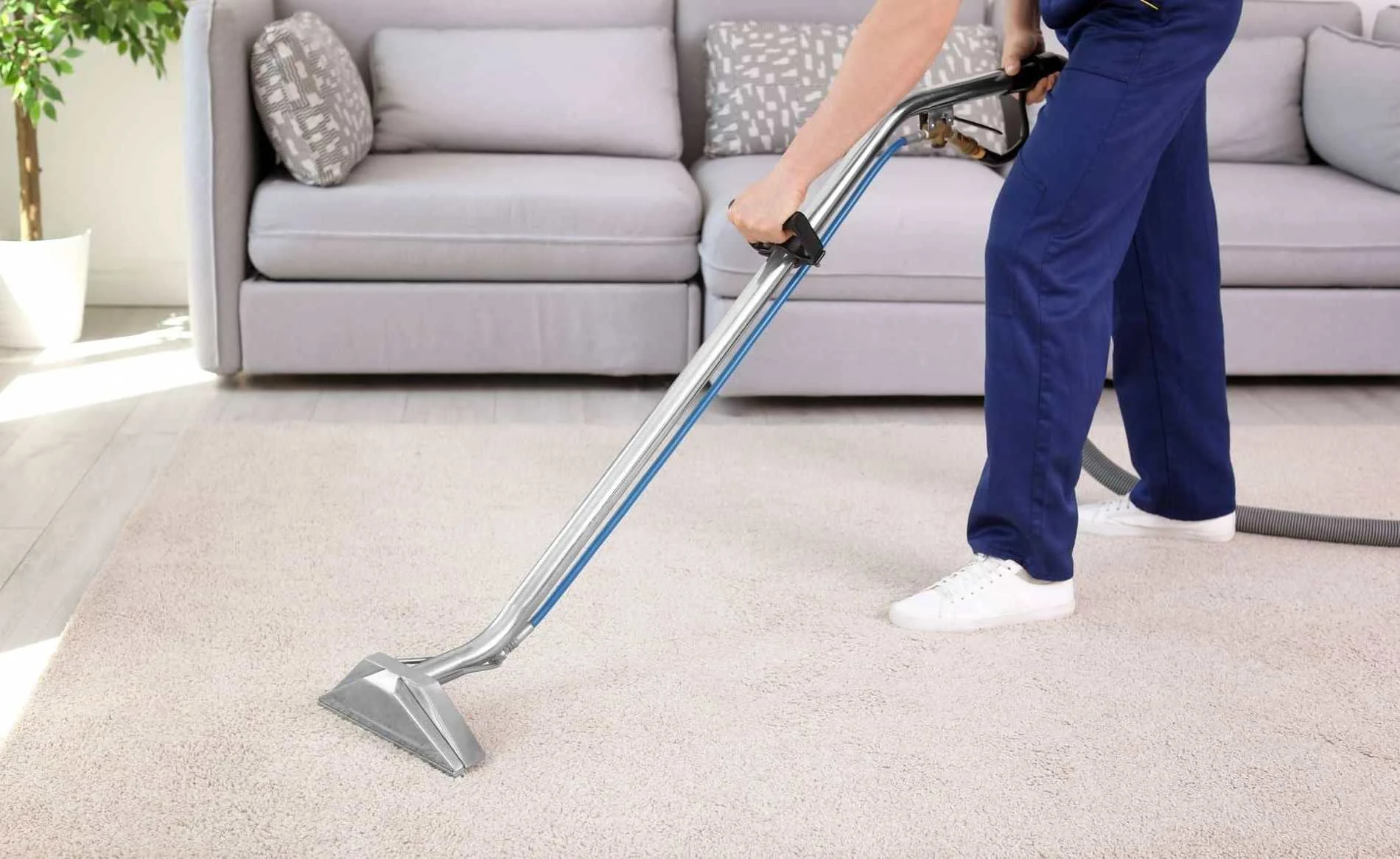 Focus Carpet Care — Cleaning Services in Rangiora