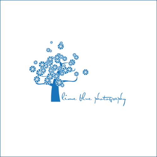 Lime Blue Photography