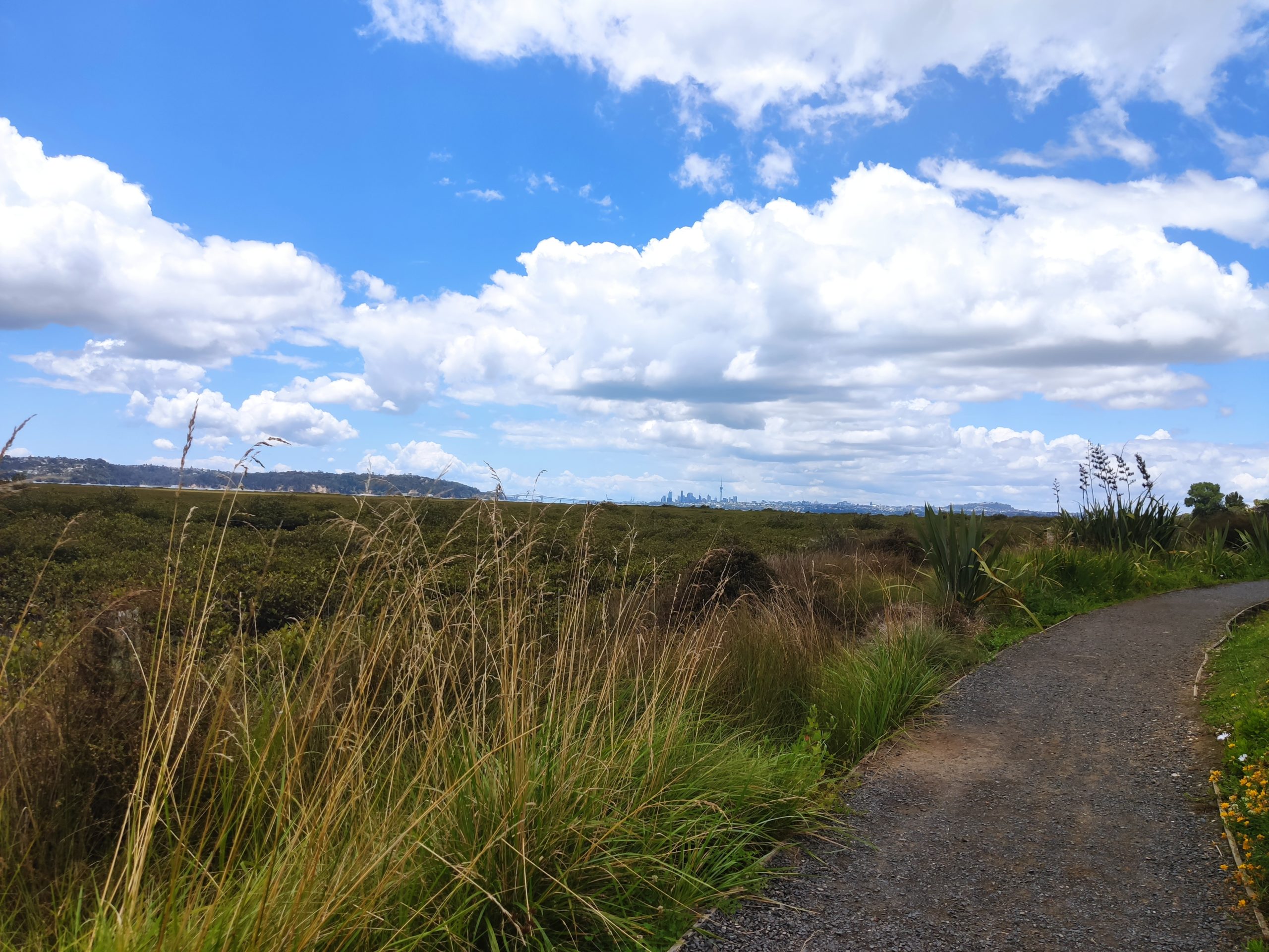 Brackenridge Total Financial Solutions — Financial Services in Auckland