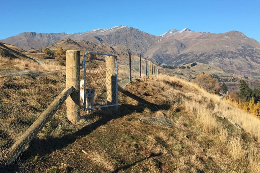 Southern Fencing Ltd — Builders in Queenstown