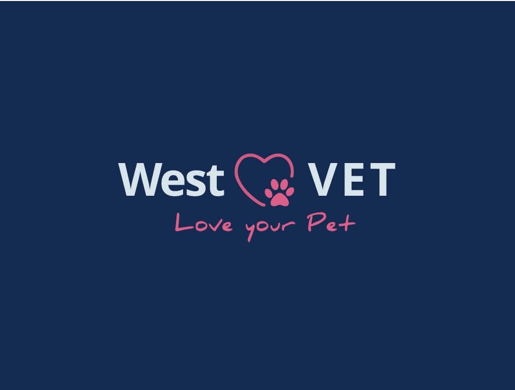 West Vet (Wairakei Road) — Vets in Christchurch
