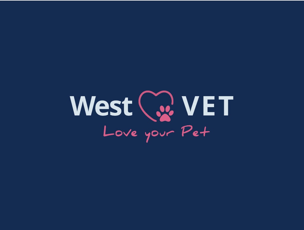 West Vet (Wairakei Road) — Vets in Christchurch