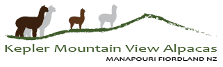 Kepler Mountain View Cottage