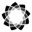 Tauranga Tiling BOP
