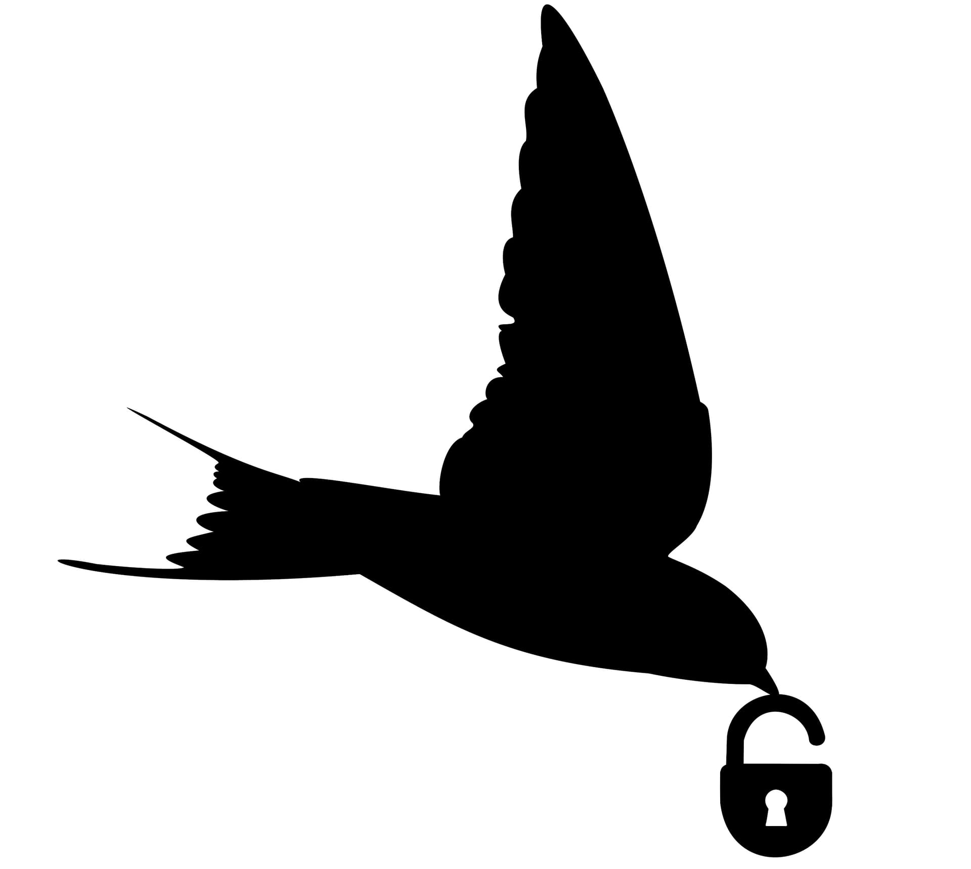 SWIFT Mobile Locksmith — Locksmiths in Christchurch