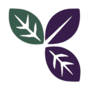 Harrington Mason Chartered Accountants